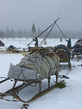 Komi Reindeer Herders Disassemble their Chums to Move Elsewhere Photographic Print by Gordon Wiltsie