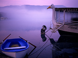 A Rowboat and a Boat with a Goose Shaped Figurehead on Lake Banyoles Photographie par Tino Soriano