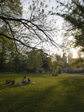 Late Afternoon in Piedmont Park in Midtown, Atlanta Photographic Print by Krista Rossow