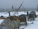 Komi Reindeer Herders Disassemble their Chums to Move Elsewhere Photographie par Gordon Wiltsie