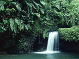 Waterfall in Cloud Forest, Braulio Carrillo National Park, Costa Rica Photographic Print by Michael and Patricia Fogden/Minden Pictures