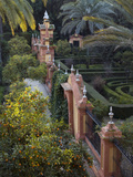 The Gardens of the Alcazar Palace, Seville Photographic Print by Krista Rossow