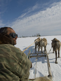 A Nomadic Komi Reindeer Herder Drives His Team Through Spring Snow Photographie par Gordon Wiltsie