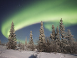 Northern Lights or Aurora Borealis over Boreal Forest, North America Fotografisk trykk av Matthias Breiter/Minden Pictures Northern Lights or Aurora Borealis over Boreal Forest, North America Fotografisk trykk av Matthias Breiter/Minden Pictures