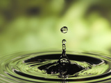 Ripples Radiating Out from Drop of Water Splashing into Calm Pool Photographic Print by Michael Durham/Minden Pictures