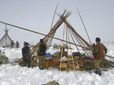 Nomadic Komi Reindeer Herders Assemble their Chums over Belongings Photographic Print by Gordon Wiltsie