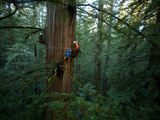 Ecologists Remove Solar Powered Sensors and Probes That Record Data Photographic Print by Michael Nichols