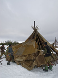 Komi Reindeer Herding Nomads Wrap their Chum with Reindeer Skins Photographic Print by Gordon Wiltsie