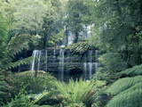 Russell Falls, Mt Field National Park, Tasmania, Australia Photographic Print by Michael and Patricia Fogden/Minden Pictures