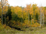 A Fall Scene in Gatineau Park Just North of Ottawa Photographic Print by Kenneth Ginn