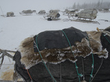 Sleds Stacked with Reindeer Hides and Other Belongings for Migration Photographic Print by Gordon Wiltsie