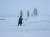 A Nomadic Komi Reindeer Herder Walks in Front of Spruce Trees Photographie par Gordon Wiltsie