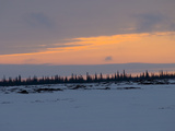 Sunset over a Taiga Forest of Spruce Birch That Grow Next to Streams Photographie par Gordon Wiltsie