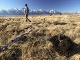A Hunters Trophy Awaits Transport in the Bridger-Teton National Forest Photographic Print by Drew Rush