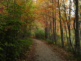 Autumn Foliage in Acadia National Park Photographic Print by Raul Touzon