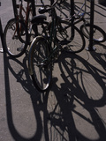 Bicycle Frames Cast Long Shadows on a Sidewalk Photographic Print by Paul Daimien