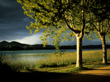An Approaching Storm and Sunlight on Trees Alongside Lake Banyoles Photographic Print by Tino Soriano