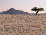 Gravel Plains before Spring Rains, Namib Desert, Namibia. Sequence 1 of 2 Fotografie-Druck von Michael and Patricia Fogden/Minden Pictures