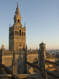 View of the Giralda Tower and the Rooftop of the Cathedral of Seville Photographic Print by Krista Rossow