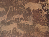 Petroglyphs of Animals Hunted by Bushmen, Twyfelfontein, Namibia Photographic Print by Michael and Patricia Fogden/Minden Pictures