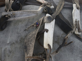 A Prized Reindeer Harness Made in 1902 and Passed Through Generations Photographie par Gordon Wiltsie