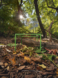 An Ecosystem Sample Is Collected Within a One Cubic Foot Metal Cube Photographic Print by David Liittschwager