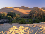 Kuiseb River Dividing Dunes from Gravel Plains, Namib Desert, Namib-Naukluft Nat'l Park, Namibia Photographic Print by Michael and Patricia Fogden/Minden Pictures
