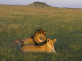 African Lion (Panthera Leo) Male and Female, Masai Mara, Kenya Photographic Print by Suzi Eszterhas/Minden Pictures