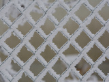 Plastic-Covered Wire Fence Covered with Frost Photographic Print by Joe Petersburger