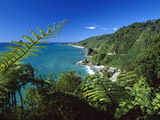 West Coast, Paparoa National Park, South Island, New Zealand Fotografie-Druck von Konrad Wothe