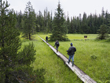 Tourists on Boardwalk over Muskeg Bog, Tongass National Forest, Mitkof Island, Alaska Lámina fotográfica por Konrad Wothe Tourists on Boardwalk over Muskeg Bog, Tongass National Forest, Mitkof Island, Alaska Lámina fotográfica por Konrad Wothe
