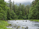 Grizzly Bear (Ursus Arctos Horribilis) Fishing, Pleasant Bay, Pleasant Bay, Alaska Fotografie-Druck von Konrad Wothe