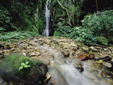 Waterfall on Gombe Stream in Low Montane Tropical Rainforest, Tanzania Photographic Print by Gerry Ellis