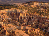 Hoodoo Formations in Bryce Amphitheater from Bryce Point, Utah Photographic Print by Gerry Ellis