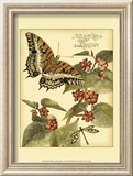 Whimsical Butterflies II Pósters Whimsical Butterflies II Pósters