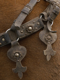 Detail of Ornate Leather Horse Tack on a Horse in the Andes Mountains, Ecuador Photographic Print by Pete Oxford