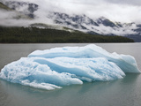 Iceberg in Endicott Arm, Inside Passage, Southeast Alaska Fotografie-Druck von Konrad Wothe