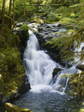 Waterfalls of Sol Duc River, Olympic National Park, Washington Fotografiskt tryck av Konrad Wothe Waterfalls of Sol Duc River, Olympic National Park, Washington Fotografiskt tryck av Konrad Wothe