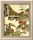 Whimsical Butterflies II Pósters Whimsical Butterflies II Pósters