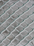 Plastic-Covered Wire Fence Covered with Frost Photographic Print by Joe Petersburger