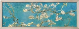Branches d'Amandier en Fleurs, 1890 Affiches par Vincent van Gogh