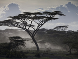 Clouds, African Trees and Dust on Tanzania's Serengeti Plain Photographic Print by Kent Kobersteen