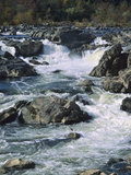 A Great Blue Heron Fishing from the Rocks at Great Falls Photographic Print by Bates Littlehales