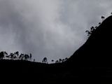 Fog-Shrouded Mountains and Silhouetted Trees Photographic Print by Kent Kobersteen