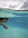 Swimming with Sharks Off the Coast of Manihi Photographic Print by Aaron Huey