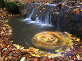 Small Waterfall and European or Common Beech Leaves Swirling in Pond Photographic Print by Joe Petersburger