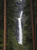 Scenic Lower Yosemite Fall Framed by Pine Trees Impressão fotográfica por Marc Moritsch Scenic Lower Yosemite Fall Framed by Pine Trees Impressão fotográfica por Marc Moritsch