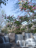 Cherry Trees and Fountain at the Franklin Delano Roosevelt Memorial Photographic Print by Paul Sutherland