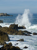 Surf Pounding the Rocks Along the Monterey Bay Coast Photographic Print by Brian Gordon Green