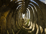 Looking Through the Rib Cage of an African Buffalo Skeleton Photographic Print by Beverly Joubert